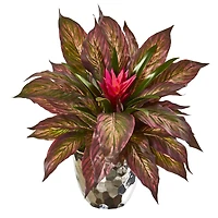 14" Ginger & Musa Leaf Plant in Silver Planter