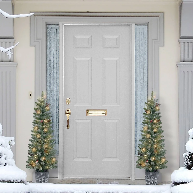 4ft. Pre-Lit Flocked Potted Trees with Battery-Operated Timer, 2ct.