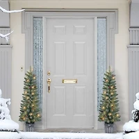 4ft. Pre-Lit Flocked Potted Trees with Battery-Operated Timer, 2ct.