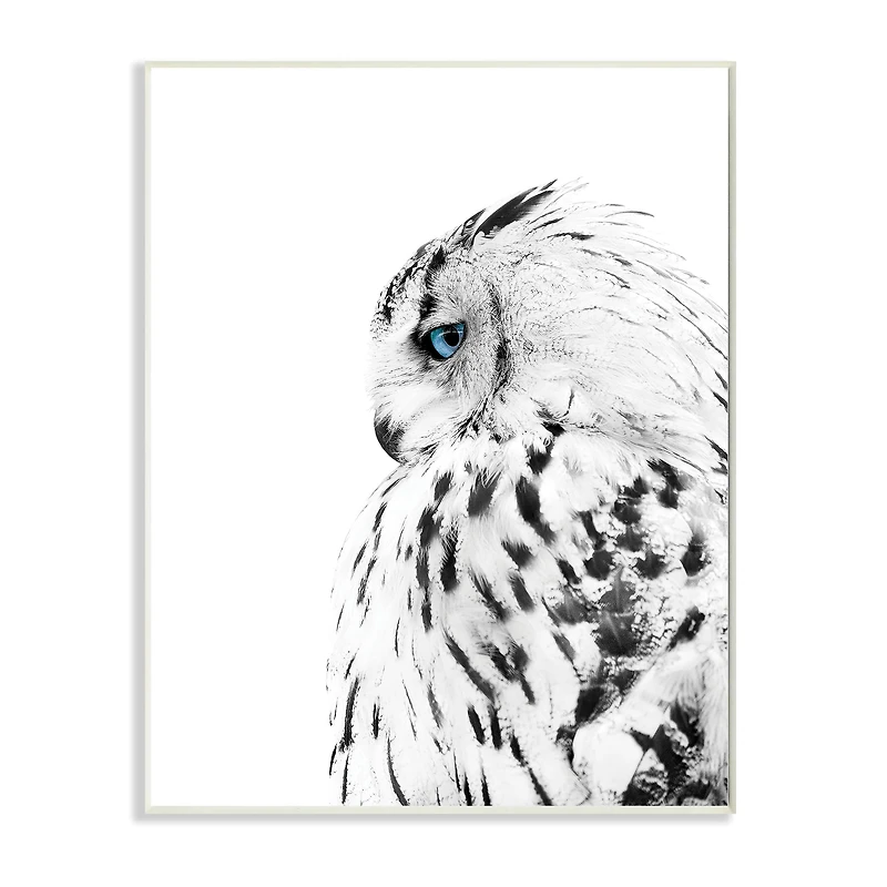 Stupell Industries Snow Owl White Feathers Peering Blue Eyes Wall Plaque