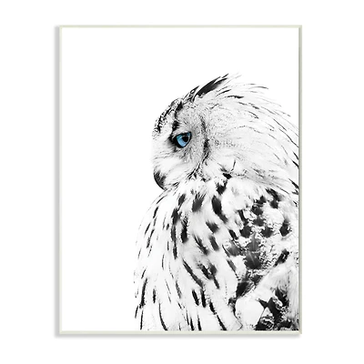 Stupell Industries Snow Owl White Feathers Peering Blue Eyes Wall Plaque