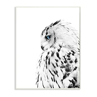 Stupell Industries Snow Owl White Feathers Peering Blue Eyes Wall Plaque
