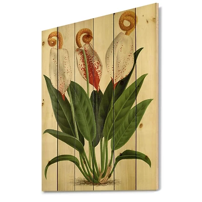 Designart - Retro Flowers I