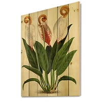 Designart - Retro Flowers I