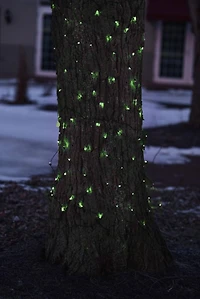 2' x 8' Green Mini Net Style Tree Trunk Wrap Christmas Lights - Brown Wire