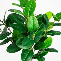 5ft. Artificial Petite Audrey Ficus Tree