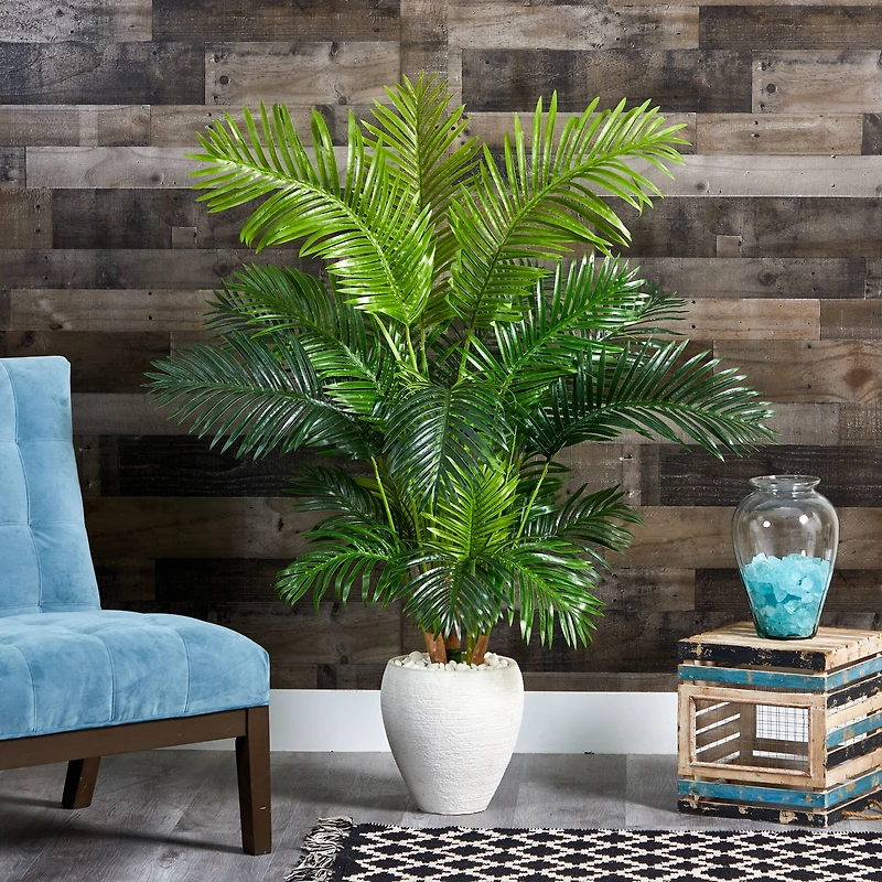 5ft. Hawaii Palm Tree in White Planter