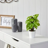 9" Pothos Plant in Decorative White Planter