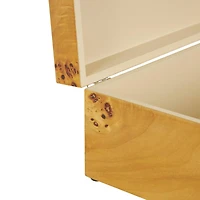 Brown Wood Storage Box with Natural Wood Grains & Silver Latches, 2ct.