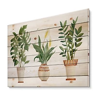 Designart - Houseplant Monstera & Peace Lily In Terra Cotta