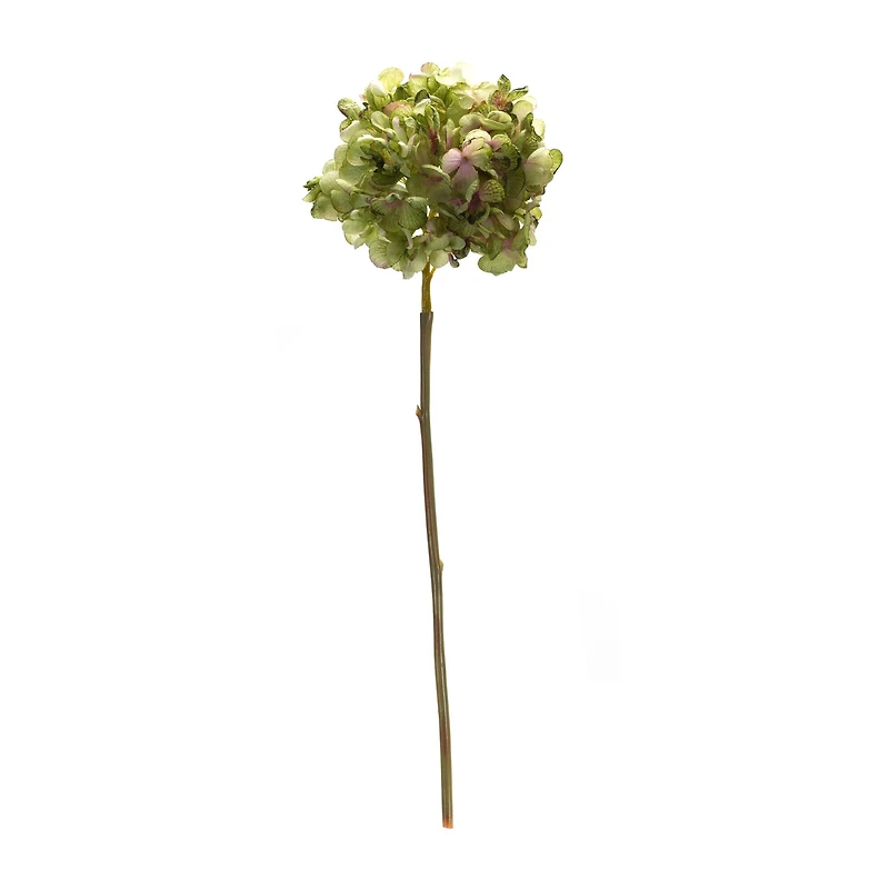 23" Green Hydrangea Stem, 6ct.