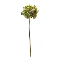 23" Green Hydrangea Stem, 6ct.