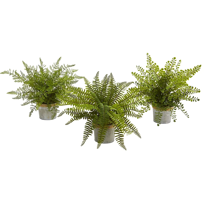 14" Fern In Decorative Pot, 3ct.