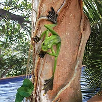 Design Toscano 34" Wallace the Flying Frog Statue