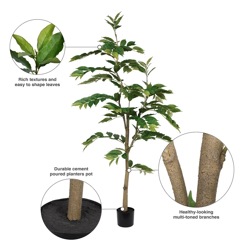 6ft. Potted Green Nandina Tree