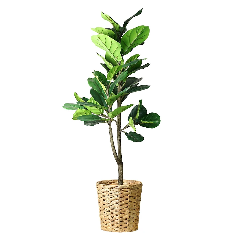 American Art Decor 4ft. Fiddle Fig Tree in Woven Basket
