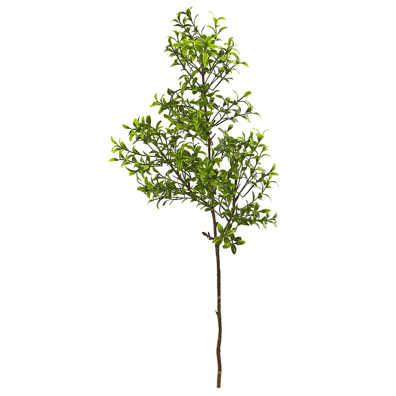 23" Boxwood Spray Plant, 12ct.