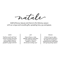 European Soaps Natale Square Jar Candle