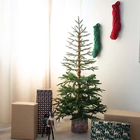 5ft. Unlit Woodland Fir Artificial Christmas Tree in Decorative Planter