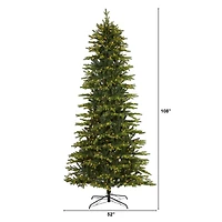 9ft. Pre-Light Belgium Fir Artificial Christmas Tree, Clear LED Lights