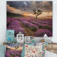 Designart - Sunrise & Dramatic Clouds Over Lavender Field VIII