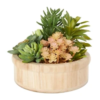 7" Succulent Artificial Plant with Natural Pot