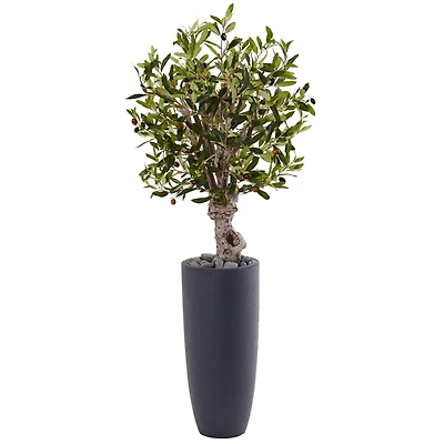3.5ft. Olive Tree in Gray Cylinder Planter