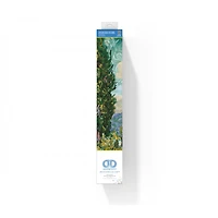 Diamond Dotz® Advanced Cypresses (apres Van Gogh) Diamond Facet Art Kit