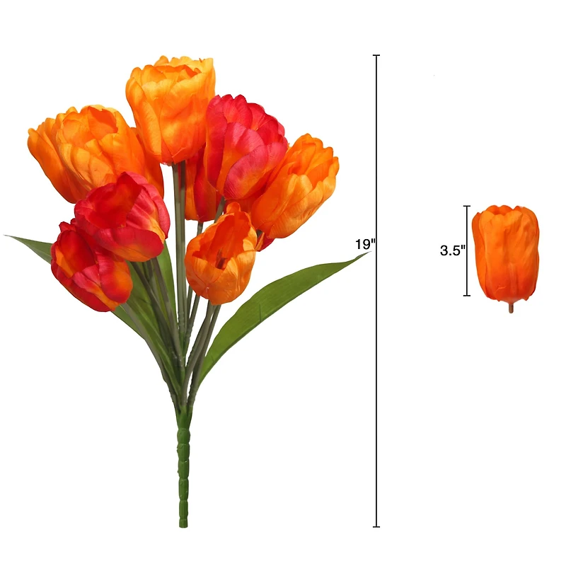 19" Tulip Bush by Ashland