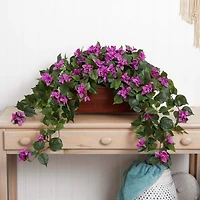 18" Bougainvillea Plant in Decorative Planter