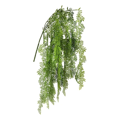 26" Hanging Ficus Bush by Ashland®