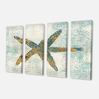 Designart - Coastal Pastel seashells III