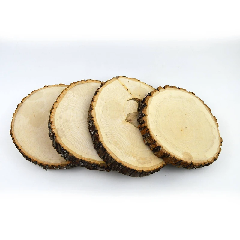 Wilson® Enterprises Basswood Round Thick Seconds Pack