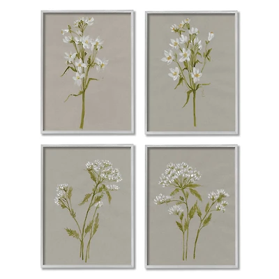 Stupell Industries Vintage White Wild Flower Study Soft Petals in Gray Frame Wall Art