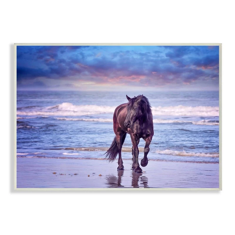Stupell Industries Wild Horse on Beach Blue Sunset Wall Plaque