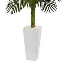 5ft. Potted Golden Cane Palm Tree in Decorative Planter