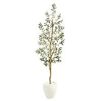6ft. Olive Artificial Tree in White Planter