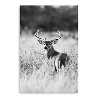 Grasslands Canvas Giclee