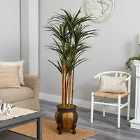 5ft. Giant Yucca Tree in Decorative Planter