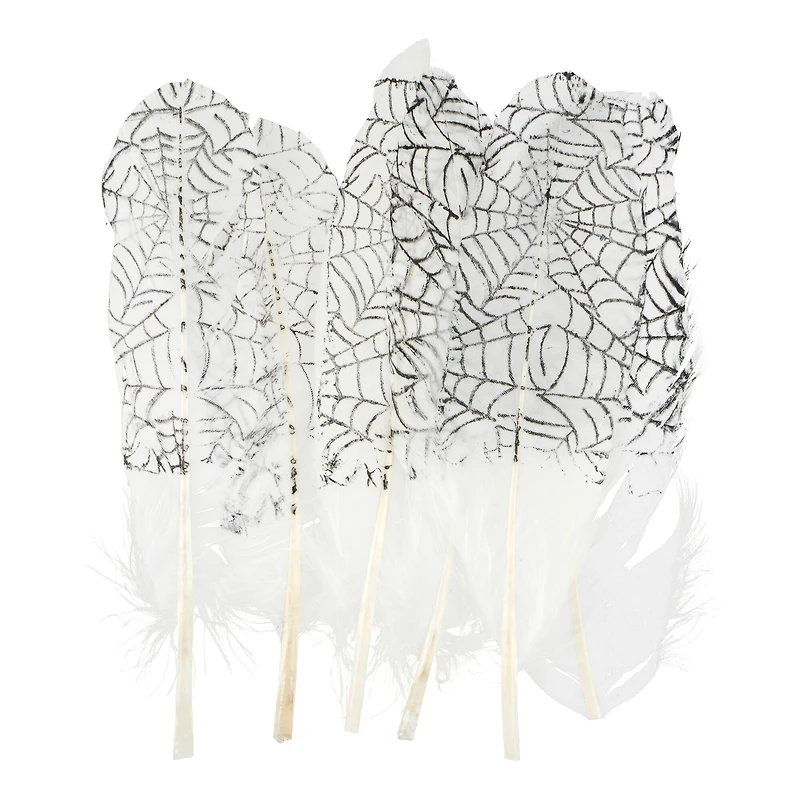 White & Black Spider Web Feathers, 6ct. by Ashland®