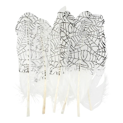 White & Black Spider Web Feathers, 6ct. by Ashland®
