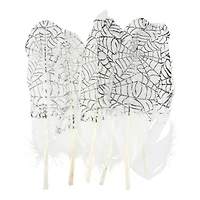 White & Black Spider Web Feathers, 6ct. by Ashland®