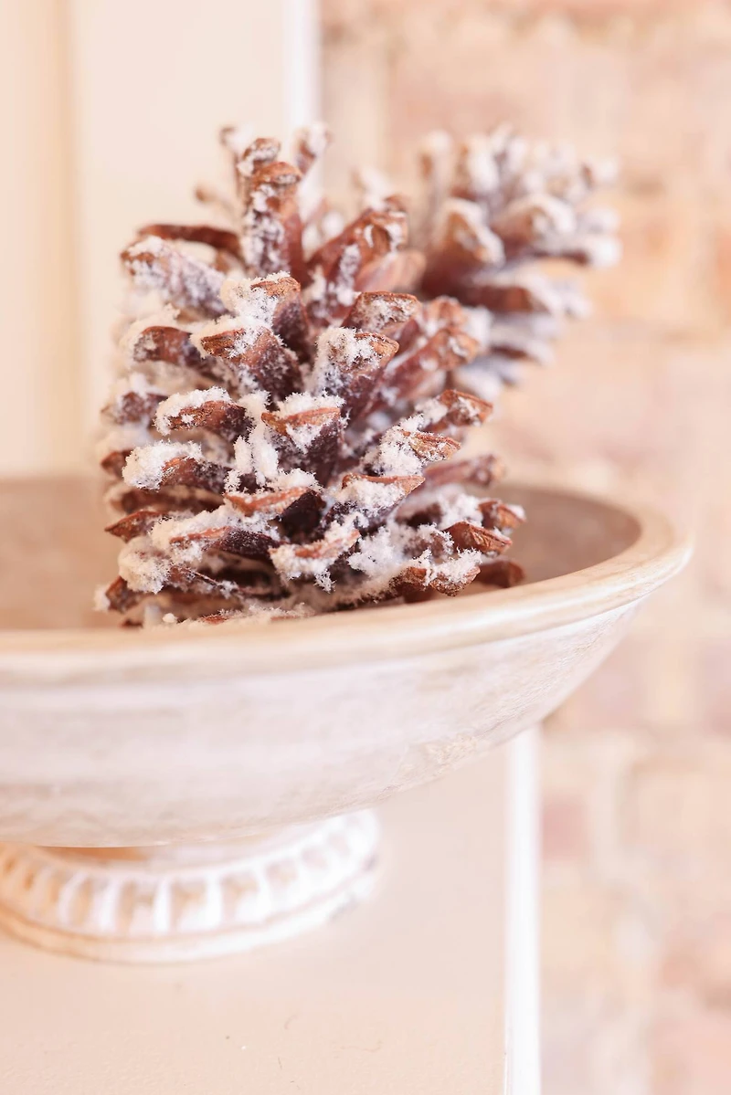 Snowy White Long Leaf Pinecones, 2ct. by Ashland®