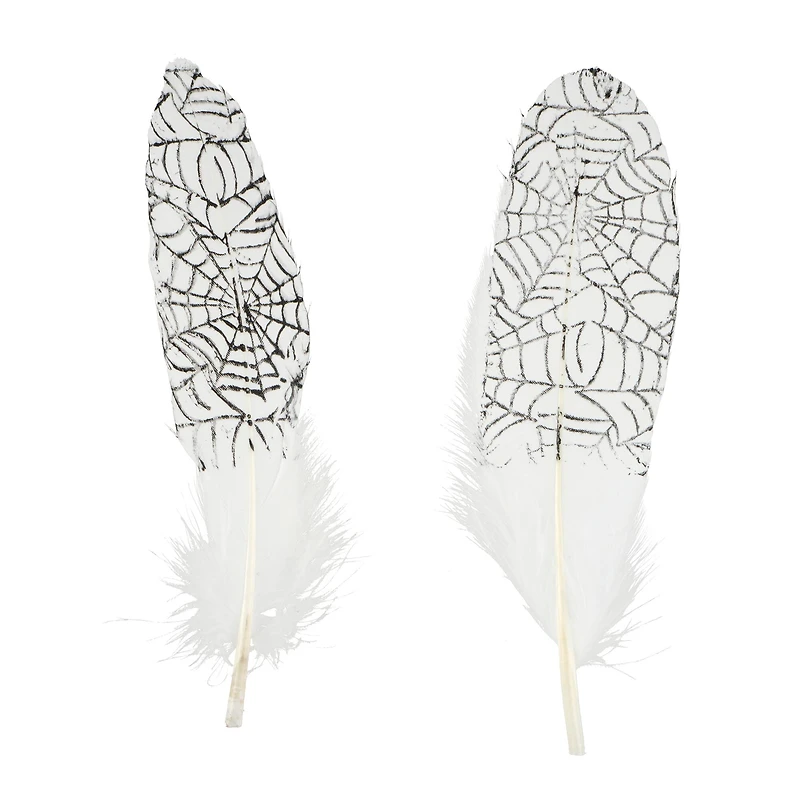 White & Black Spider Web Feathers, 6ct. by Ashland®
