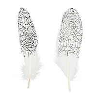 White & Black Spider Web Feathers, 6ct. by Ashland®