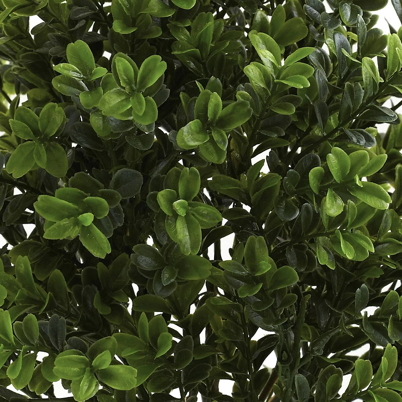 15" Sweet Grass Bush, 6ct.