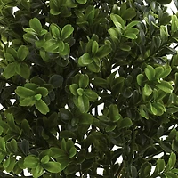 15" Sweet Grass Bush, 6ct.