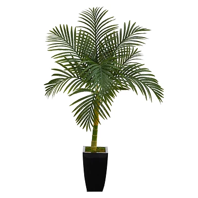 4.5ft. Golden Cane Palm Tree in Black Metal Planter