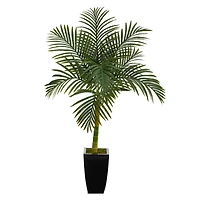 4.5ft. Golden Cane Palm Tree in Black Metal Planter