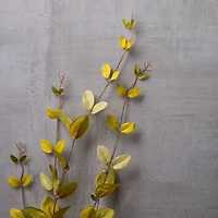 Lonicera Leaf Spray by Ashland